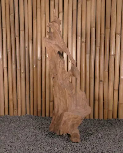 Product image of the product “Root made of teak wood about 110cm height ”